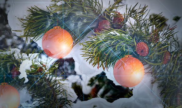    ! Happy New Year!    ... Greeting card from the C.D.P.